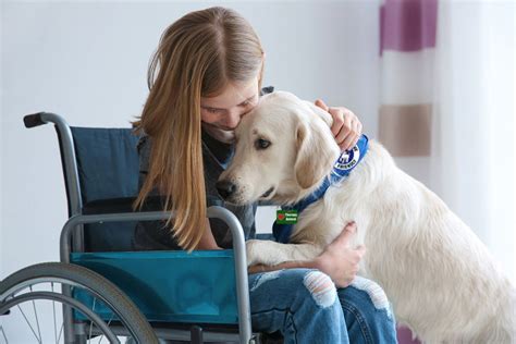 Emotional support animal kansas - Emotional support animals can remind the handler to take prescribed medications and distract the handler from panic attacks, self-harm, or depressed moods, as well as provide security and safety through crowd control or guiding the handler out of stressful situations. Unlike service dogs, an emotional support animal is not limited to being a ... 